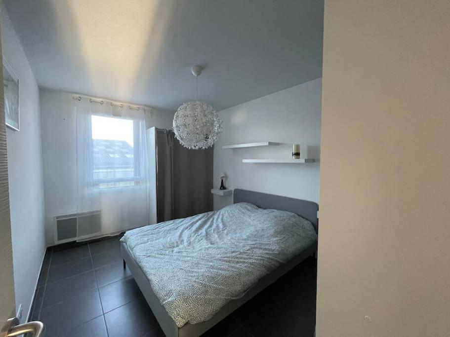 Apartment Between City Center And Beachs Montpellier Exteriér fotografie